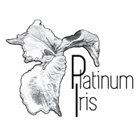 PLATINUM IRIS logo, PLATINUM IRIS contact details