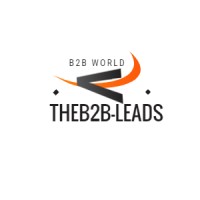 The B2B LEADS logo, The B2B LEADS contact details