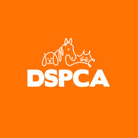 Dublin SPCA logo, Dublin SPCA contact details