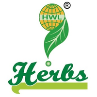 HERBS Mushroom logo, HERBS Mushroom contact details