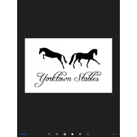 Yorktown Stables logo, Yorktown Stables contact details