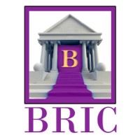 BRIC LLC logo, BRIC LLC contact details