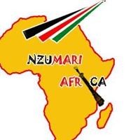 Nzumari Africa logo, Nzumari Africa contact details