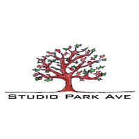 Studio Park Ave logo, Studio Park Ave contact details