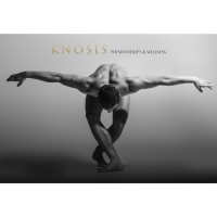 KNOSIS Physiotherapy & Wellness logo, KNOSIS Physiotherapy & Wellness contact details