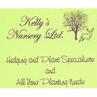 Kelly's Nursery Ltd logo, Kelly's Nursery Ltd contact details