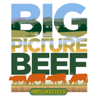 Big Picture Beef logo, Big Picture Beef contact details