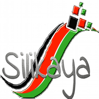 Silikaya Consultants logo, Silikaya Consultants contact details