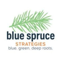 Blue Spruce Strategies, LLC logo, Blue Spruce Strategies, LLC contact details