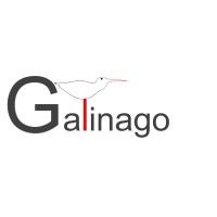 Galinago Mentoring  - Business Growth Mentoring & Consulting logo, Galinago Mentoring  - Business Growth Mentoring & Consulting contact details