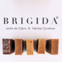 Brigida logo, Brigida contact details