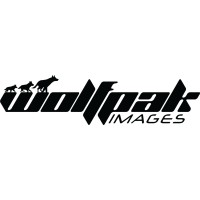 Wolfpak Images logo, Wolfpak Images contact details