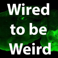 Wired to be Weird logo, Wired to be Weird contact details