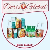 Doris Global logo, Doris Global contact details