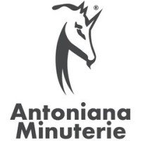 Antoniana Minuterie srl logo, Antoniana Minuterie srl contact details