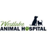 Westlake Animal Hospital Inc logo, Westlake Animal Hospital Inc contact details