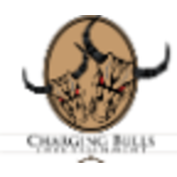 Charging Bulls Entertainment logo, Charging Bulls Entertainment contact details