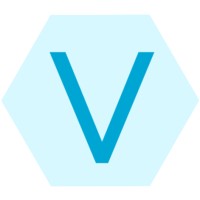 ViluniDev logo, ViluniDev contact details