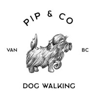 Pip and Company logo, Pip and Company contact details