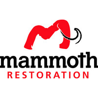 Mammoth Restoration Arizona logo, Mammoth Restoration Arizona contact details