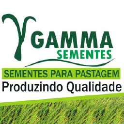 Grupo Gamma - Brasil logo, Grupo Gamma - Brasil contact details