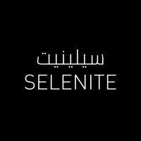 SELENITE E-Commerce Community logo, SELENITE E-Commerce Community contact details