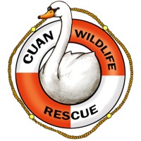 Cuan Wildlife Rescue logo, Cuan Wildlife Rescue contact details