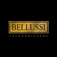 BELLUSSI SPUMANTI S.R.L logo, BELLUSSI SPUMANTI S.R.L contact details