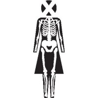 X-Ray Lady® CE logo, X-Ray Lady® CE contact details