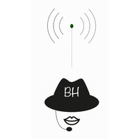 BlackHat Tech Solutions logo, BlackHat Tech Solutions contact details