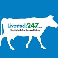 Livestock247 logo, Livestock247 contact details