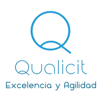 Qualicit Consultores SpA logo, Qualicit Consultores SpA contact details