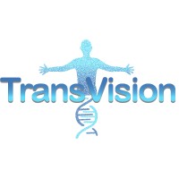 #TransVision Madrid 2021 logo, #TransVision Madrid 2021 contact details