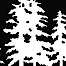 Forests Forever logo, Forests Forever contact details