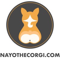 NAYOTHECORGI.COM logo, NAYOTHECORGI.COM contact details