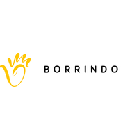 Borrindo logo, Borrindo contact details