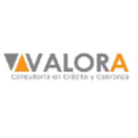 Valora Consultorìa en Crèdito y Cobranza logo, Valora Consultorìa en Crèdito y Cobranza contact details