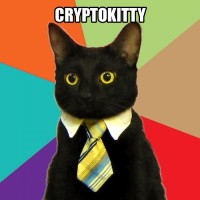 Cryptokitty logo, Cryptokitty contact details