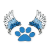 Angel Paws Dog Grooming & Spa logo, Angel Paws Dog Grooming & Spa contact details