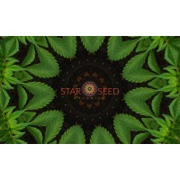 Starseed Organics, LLC logo, Starseed Organics, LLC contact details