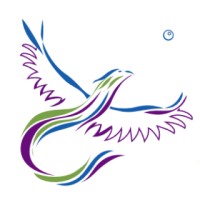 Take Wing Coaching logo, Take Wing Coaching contact details