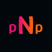 pingNpay logo, pingNpay contact details