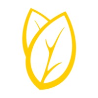 Yellow Leaf Creative logo, Yellow Leaf Creative contact details