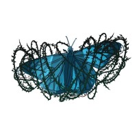 Entangled Butterfly Entertainment logo, Entangled Butterfly Entertainment contact details