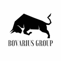 Bovarius Capital Partners logo, Bovarius Capital Partners contact details