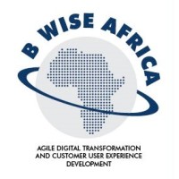 bWise Africa logo, bWise Africa contact details