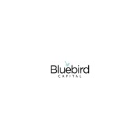 Bluebird Capital logo, Bluebird Capital contact details