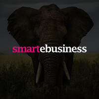 smartebusiness logo, smartebusiness contact details