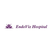 Endoviz Hospital logo, Endoviz Hospital contact details