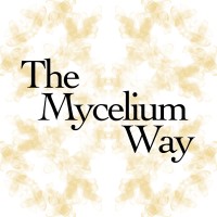 The Mycelium Way logo, The Mycelium Way contact details